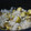 yume&ss's cooksnap of when they made 栗ごはん.