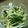 ✿gene✿'s cooksnap of when they made ✿簡単 胡麻和え✿.
