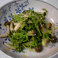 ダ〜ごはん's cooksnap of when they made シャキシャキ！豆苗としめじの胡麻和え.