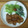 れいちん0130's cooksnap of when they made ご飯がすすむ♪激うま♪豚の生姜焼き.
