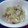 ミースケのママ's cooksnap of when they made 鶏むね肉とキャベツのマヨネーズ和え.