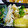 yukiはぴ's cooksnap of when they made ☆キャベツとエリンギのオイバター炒め☆.