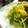 Ｋazu's cooksnap of when they made 小松菜ともやしと卵の胡麻味噌炒め.
