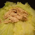 はいりほう's cooksnap of when they made 白菜とツナの簡単鍋.