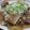 ｍｉｌｏ's cooksnap of when they made 大根と豚バラの炒め煮.