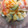ゆう★、's cooksnap of when they made きゅうりとカニカマのサラダ.