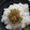 shimaru's cooksnap of when they made ご飯のお供に☆ゆずこしょうちりめん.