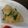 APPLEN's cooksnap of when they made 超手抜き！大根の浅漬け.