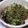 三児prl母's cooksnap of when they made きのこのＭＩＸパン粉焼き.