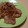 ケンコウママ's cooksnap of when they made 簡単豚肉の生姜焼き！.