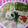 るらちゃん's cooksnap of when they made ฺささみのトマト&とろ～りチーズ焼きฺ.
