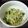 悠里菜mama's cooksnap of when they made レンジで簡単♪もやしのナムル.