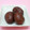 nonoue's cooksnap of when they made 甘さ控えめ＊栗の渋皮煮.