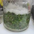 yokocan's cooksnap of when they made 紫蘇の実の塩漬け.