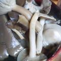ユーロン's cooksnap of when they made ワカメとキノコのサッと煮.