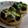 puniＫ's cooksnap of when they made ブロッコリーの和風チーズマフィントースト.