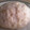 erioerio's cooksnap of when they made 残り冷凍カレーで♪簡単ふわふわカレーまん.