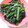 みゆ♪゛'s cooksnap of when they made ほうれん草の胡麻和え.