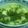 ﾌﾞﾗﾝﾄﾞﾝﾏﾏ's cooksnap of when they made ほうれん草と豆腐のとろとろスープ.