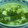 ﾌﾞﾗﾝﾄﾞﾝﾏﾏ's cooksnap of when they made ほうれん草と豆腐のとろとろスープ.