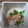 まみんちよ's cooksnap of when they made 簡単◇おろしツナ和え.