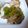 K/S's cooksnap of when they made 牛肉と玉ねぎの甘辛煮☆お弁当に！.
