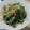 ゆりYO船長's cooksnap of when they made ほうれん草と玉ねぎのアンチョビ炒め.