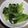 はーとねこ's cooksnap of when they made 小松菜のおひたし.