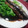羽尼うに's cooksnap of when they made さんまのかば焼きどんぶり.