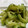 maruru-nn's cooksnap of when they made ゴーヤのバター炒め.