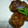 SHIHOBONN's cooksnap of when they made 里芋のおやき☆照り焼き風.