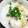 msmsrs's cooksnap of when they made とろろ～ん✿まぐろのづけ✿.