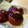 ひづひ's cooksnap of when they made ✽私の栗の渋皮煮✽.