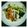 salymama's cooksnap of when they made 小松菜の炒め物.