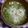 アカほっぺ's cooksnap of when they made あじのつみれ団子　<*)) >=<.