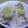 犬くんし's cooksnap of when they made ★わが家の栗ご飯★.
