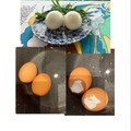 horseland's cooksnap of when they made 裏技　ゆで卵の殻の剥き方　成功率100％.