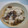 閑人舎's cooksnap of when they made 甘栗で栗ご飯♪.