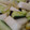 びすにゃー's cooksnap of when they made 簡単・中華風ピリ辛の漬物♪.