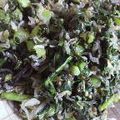 涼介mama's cooksnap of when they made エコ★大根葉と皮で香ばしい〜ふりかけ.