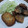 ぐっちぃママ's cooksnap of when they made 秋刀魚の竜田揚げ.