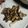 ＴＯＭＯＷＡＴ's cooksnap of when they made 焼き舞茸のショウガ和え、ちょいエスニック.