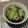 m@n@'s cooksnap of when they made モズク酢.
