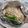moruchama's cooksnap of when they made 鮭とキノコのホイル焼.