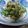 もるみん's cooksnap of when they made ゴーヤのひき肉炒め.