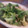 Megtie's cooksnap of when they made 野菜がﾀｯﾌﾟﾘ食べれる海老の酒蒸し.