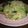 ポップんチップ's cooksnap of when they made 春キャベツどっさり！ビーフン風☆ж.