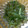 SILK0205's cooksnap of when they made めかぶときゅうりのゴマ油和え.