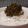 TOMO✿TOMO's cooksnap of when they made お箸が止まらない！紫蘇の実ごはん.