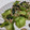 fu♪♪'s cooksnap of when they made 箸休めに【ツナと青梗菜の炒め物】.